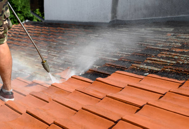 Best Pressure Washing Driveway  in Whitefish Bay, WI